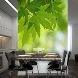  Tapeta - leaves (Shallow focus) 250x193 | shoptok.hr
