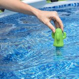 Bestway 58763 Floating Thermometer for Spa Pools Cactus Green | Shoptok.si