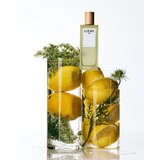 Loewe Aire toaletna voda za ženske 100 ml | Shoptok.si