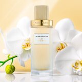 ANNE KLEIN Play It Like Anne parfumska voda za ženske 100 ml | Shoptok.si