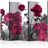  Paravan u 5 dijelova - Lush meadow II [Room Dividers] 225x172 Cijene