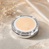 Clinique Stay Matte Sheer Pressed Powder prašek z matirnim učinkom 01 Stay Buff 7,6 g | Shoptok.si
