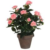  Umetna roža šopek vrtnic (Višina: 33 cm, Roza, Plastika) | Shoptok.si