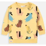 Coccodrillo Bombažen pulover za dojenčka rumena barva