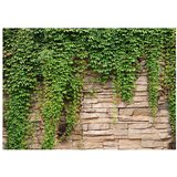  Tapeta - Ivy wall 300x210 | shoptok.hr