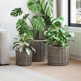  Cvečni koš s shranjevanjem 3 pcs Kubu siva Kubu rattan, (5000285955) Cene