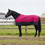  za konje Ružičasta i crna 165 cm Poliester | shoptok.hr