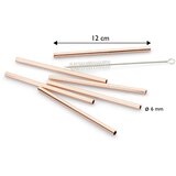 Echtwerk Set Slamic S Krtačko Straw, 6-Delni | Shoptok.si