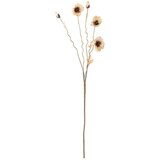 Bloomingville Umjetna biljka (visina 104 cm) Poppy – | shoptok.hr