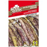  Boranija Čudo Piemonta 100 g Royal Seeds Cijene