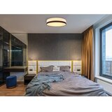 Globo 15385D2 - LED prigušiva plafonska lampa MAGGY LED/40W/230V | Eponuda.com