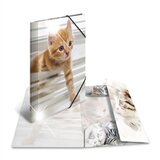 Herma Mapa s elastičnom gumicom A4 PP Glossy, mace Cijene