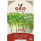 Bavicchi Bio kalčki "kreša" - 35 g Cene