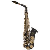 Grassi SAL700BK BUNDLE + BG accessories kit - alto saksofon sa koferom | Eponuda.ba