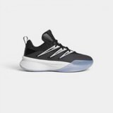 Adidas Modne superge Dame Certified 3 J Cblack/Clgrey/Carbon Črna u