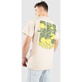 Dravus Lemonade T-shirt spring tan | Shoptok.si