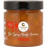 Cosmoveda spicy čatni mango ananas bio - 225 g | Shoptok.si