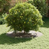  Pogodno za ravne drvene prstenove 5 pcs Srebrno Ø60 / 90 cm | shoptok.hr