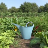  Kanta za zalijevanje Keira 2L - boja plava | Eponuda.ba