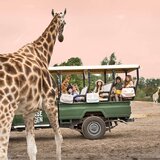 Jeune Premier® otroška šolska torba it bag midi wildlife | Shoptok.si