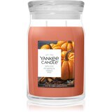 Yankee Candle Spiced Pumpkin dišeča sveča 567 g Cene