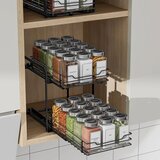 ZDDLOINP izvlečni dvonivojski organizator za začimbe | Shoptok.si