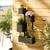 Umbra Plastične posude za cvijeće u setu 4 kom za bilje/viseće i zidne Cubiko – | shoptok.hr