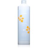 EchosLine Hydrating Shampoo vlažilni šampon z suhe lase 1000 ml Cene