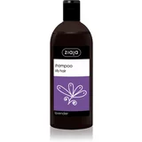 Ziaja Family Shampoo šampon za masnu kosu 500 ml