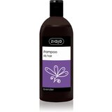Ziaja Family Shampoo šampon za mastne lase 500 ml Cene