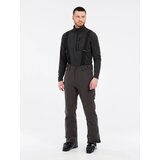  men's ski pants prtmikado Cene