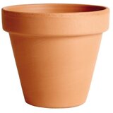 Degrea Saksija 39cm Classica terracotta Cene