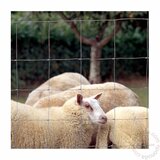 Dirickx farmersko pletivo diclo 200-20-15 rolna=50m | ePonuda.com