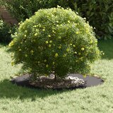  Pogodno za ravne drvene prstenove 5 pcs Crna Ø40 / 70 cm Čelik | shoptok.hr