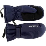 Icepeak rukavice za dečake icepeak haysville jr 2-52852-564-390 Cene'.'