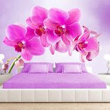  Tapeta - Thoughtfulness 350x245 | shoptok.hr