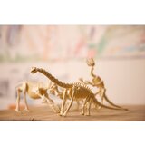 4m Iskopaj skelet dinosaurusa Triceratopsa 03228 | Eponuda.com