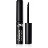 Delia Cosmetics Eyebrow Expert maskara za obrve nijansa Graphite 4 ml