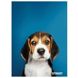 STREET Zvezek Friends A5 črte z robom | Shoptok.si