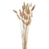 Eglo 428039 - Sušeni cvet GUIPOS, 60 cm, bež | Eponuda.com
