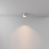 MAYTONI Stropna Svetilka Hydra, S Sijalko | Shoptok.si