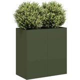 vidaXL Sadilnik Olive Green 80x40x80 cm Hladno valjano jeklo | Shoptok.si