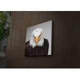 Wallity Zidna slika sa LED osvjetljenjem 4040IACT-41, 40x40 cm | Eponuda.ba