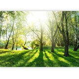  Foto tapeta - Sunny May Day 250x175 Vodootporna | shoptok.hr