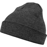 MSTRDS Basic Flap Cap h.Charcoal | shoptok.hr