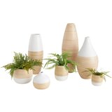 Zandiara Vaza Diana | Shoptok.si