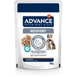 Advance Veterinary Diets Recovery Mini - 11 x 100 g Cijene