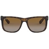 Ray-ban Muške Sunčane naočale Ray Ban RB4165 P Brown | shoptok.hr