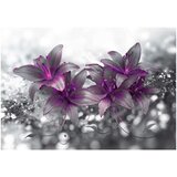  Tapeta - Secret of the Lily 400x280 | shoptok.hr