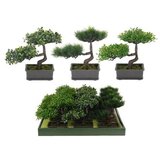  BONSAI PVC SORTO | Eponuda.ba